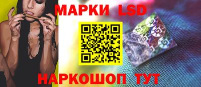 мдпв Бердск