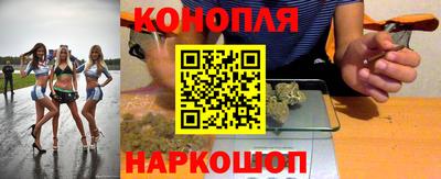 мдпв Бердск