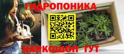 бошки Белореченск