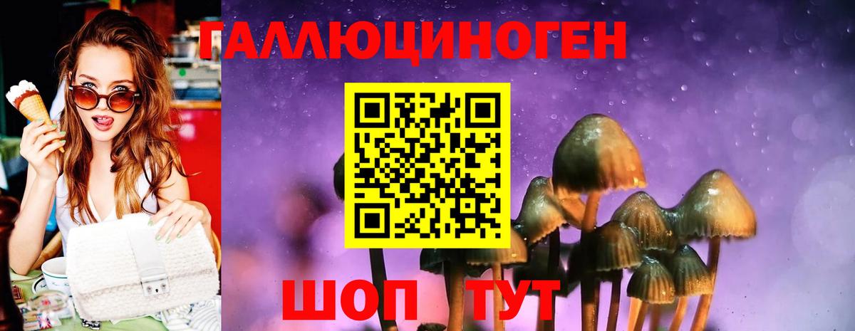 Орск  наркота  Вход с VPN  Галлюциногенные грибы MAGIC MUSHROOMS 